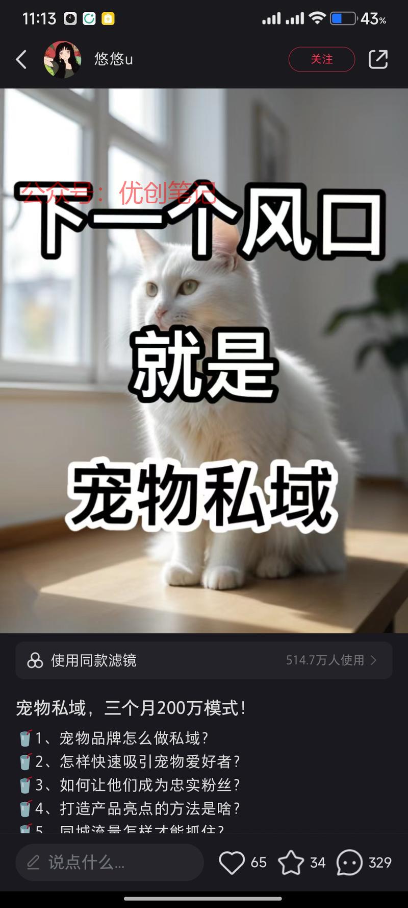 宠物私域，可以做培训赛…#情报-搞钱线报📢论坛-网创交流-优创圈